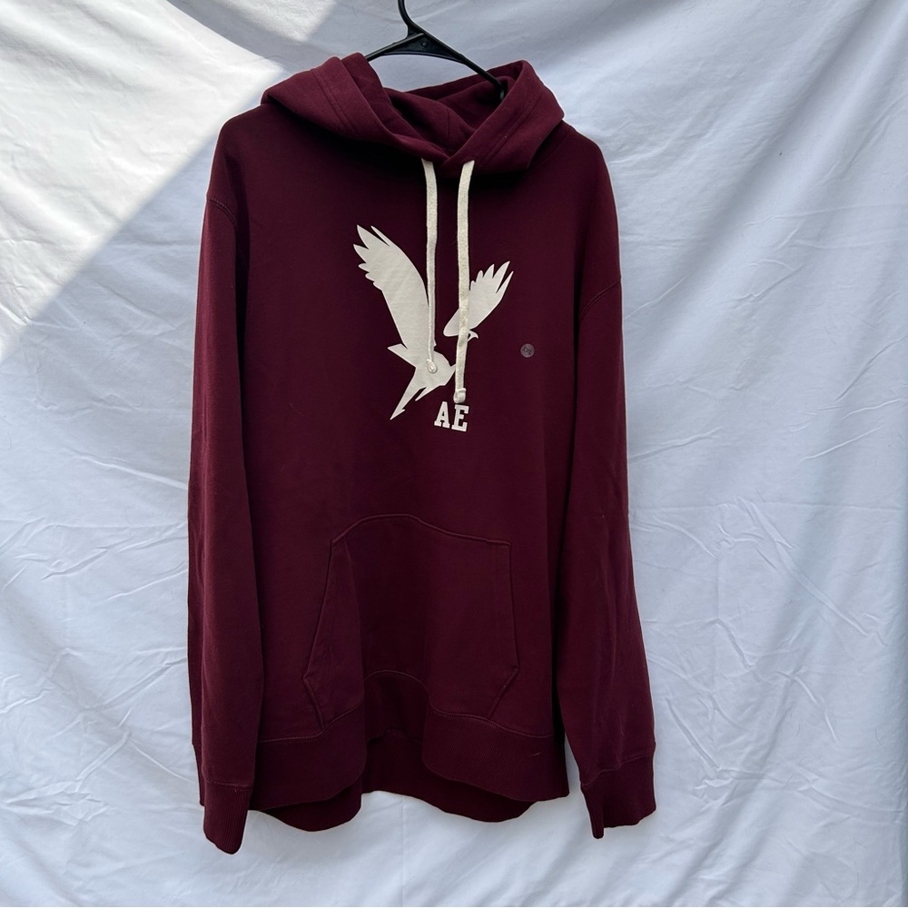 American Eagle Outfitters Burgundy Hoodie for Men